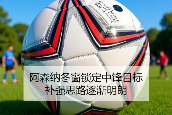阿森纳冬窗锁定中锋目标 补强思路逐渐明朗 - AGlive